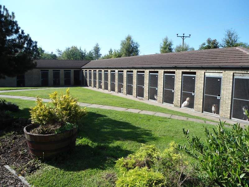 The Spinney Luxury Dog Boarding Kennels, Bathgate, West Lothian